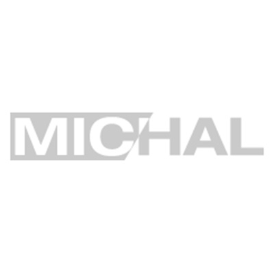 MichalLogoFuerDiviTitel grau